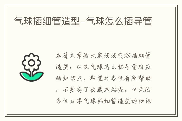 气球插细管造型-气球怎么插导管